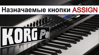 Главный "секрет" 😊 кнопок ASSIGNABLE SWITCH: how to save the settings~Korg Pa900 tutorial