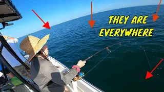 FLORIDA!! We have a PROBLEM!! A Typical day of fishing The near shore reefs of EAST COAST FLORIDA