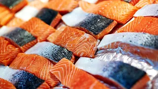 How Salmon Fish Fillets Are Processed Inside Factory | Salmon Fish Fillet Processing Lines by Marel