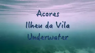 Ilheu da Vila Underwater - Vila Franca do Campo - Azoren