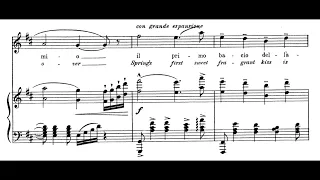 Si, Mi chiamano Mimi (La Bohème - G. Puccini) Score Animation