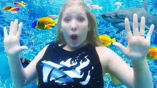 I got TRAPPED in an Aquarium for 24 HOURS! - Challenge