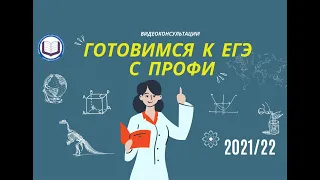 Литература  Готовимся к ЕГЭ с ПРОФИ  Онлайн консультация по подготовке к ЕГЭ 2022