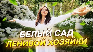 ✅ПРОВЕРЕННЫЕ кустарники для маленького участка! 18 ЦВЕТУЩИХ многолетников