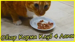 Обзор Влажных Кормов для Кошек Клуб 4 Лапы 2019. Блог Кота Альфа. Корм Премиум для Котов