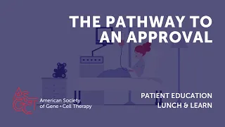 Lunch & Learn: The Pathway to an Approval