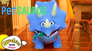 Dinosaur Compilation | My Petsaurus | Series 3 | CBeebies