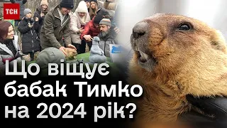 ⚡ 2 лютого - день бабака! Що навіщував харківський Тимко?