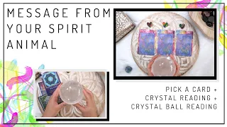 ✧ PICK A CARD ✧ Message From Your Spirit Animal ✧ TIMELESS READING ✧ Crystal Ball Reading ✧