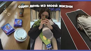 один день из жизни студента в польше | студенческая жизнь, мой университет, тренажерный зал