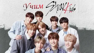 Учимся различать участников Stray Kids