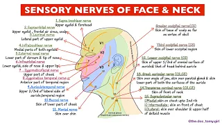 Nerve supply of skin of face,neck & scalp (sensory) | Anatomy