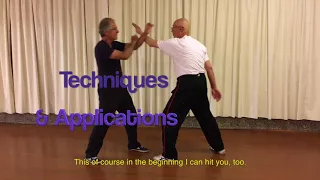 Tai Chi Silk Reeling and Martial Applications with George Xu