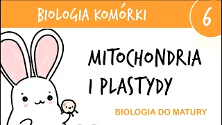 Cytologia 6 - Mitochondria, chloroplasty i (inne) plastydy - biologia do matury liceum