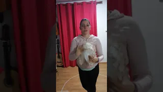 Movimientos del pañuelo en la cueca