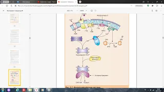 Инозитолфосфатный механизм передачи сигнала в клетку