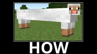 WAIT WHAT (Minecraft) #24