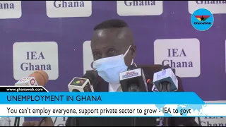 You can’t employ everyone, support private sector to grow - IEA to govt