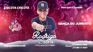 Rodrigo Silva - Dança do Jumento