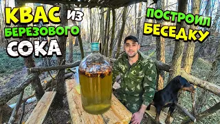 Собираю березовый сок и делаю Квас! Построил беседку возле пруда