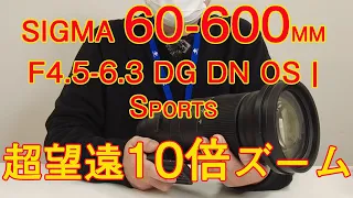 3分でわかる！ シグマの最新超望遠10倍ズーム 60-600mm F4.5-6.3