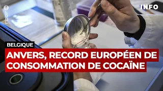 Drogue : Anvers, première ville européenne de la consommation de cocaïne - RTBF Info