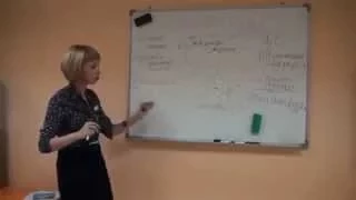 Лимфатическая система  Марина Степанова Мальцева
