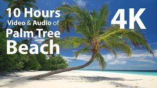 4K UHD 10 hours - Tropical Beach & Gentle Birds/Waves Audio window - relaxing, meditation, nature