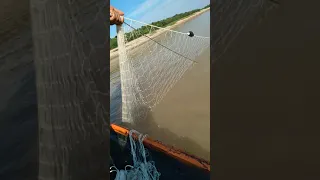 Pesca no Amazonas Rio juruá.