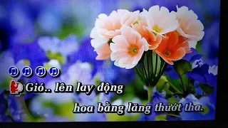 Hoa tím Bằng lăng karaoke tân cổ thiếu Đào song ca cùng Trọng Hiếu..