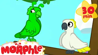 Orphle Plays Hide & Seek | Fun Animal Cartoons | @MorphleTV  | Learning for Kids