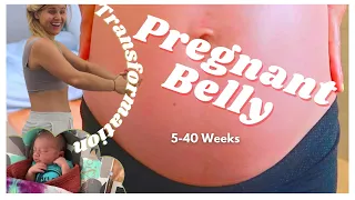 PREGNANT BELLY GROWTH - 5-40 WEEKS -  9 MONTHS IN 3 MINUTES PHOTO A DAY