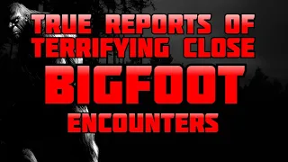 TERRIFYING CLOSE BIGFOOT ENCOUNTERS