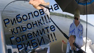 Риболов на кльонк (Големите риби!) Река Дунав! CATFISHING: WITH CLONK !!! Danube River!