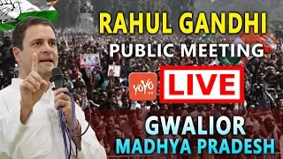 Rahul Gandhi LIVE | Rahul Gandhi Addresses Public Meeting in Gwalior, Madhya Pradesh | YOYO TV LIVE