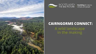 Cairngorms Connect: A wild landscape in the making webinar