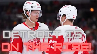 The DETROIT RED WINGS Are Going to Be SCARY GOOD Very Soon!