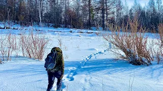 Весенние хлопоты Таёжные отшельники (30 лет одиночества 69 серия)