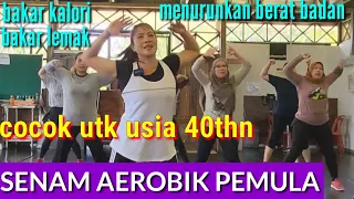 SENAM AEROBIK 40thn MENURUNKAN BERAT BADAN, BAKAR LEMAK DAN BAKAR KALORI | Tinydance