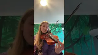 Day 144, 2024 Fiddle Tune Challenge - Tom And Jerry