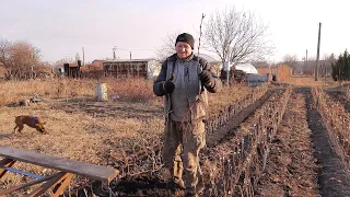 Скоба для выкопки саженцев