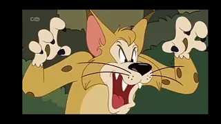 Tom and Jerry cartoon |   Eagle eye Jerry |  cartoons world