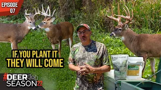 The Four MOST IMPORTANT Steps To Growing The Perfect Green Plot With Mark Drury | Deer Season '22