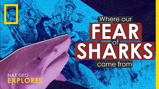 Where Our Fear of Sharks Came From | Nat Geo Explores