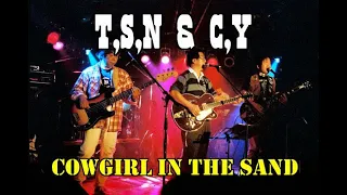 Neil Young cover COWGIRL IN THE SAND ニールヤング カバー Tribute