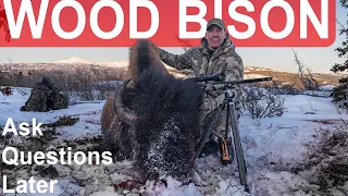 Ask Questions Later A Bison Hunt Part 2 of 2