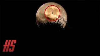 Witches Spotted Flying Through Spooky Forest Trees! | HollywoodScotty VFX