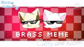 Brass meme (collab with meow GalaxYTy) [roblox Adopt me] {Fennec fox and snow cat}