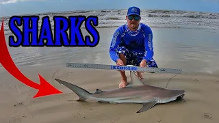 THIS Almost Ruined Our Day !! | 3rd Coast Fishin Sharkathon S1 E2 | SHARK WEEK SPECIAL !!