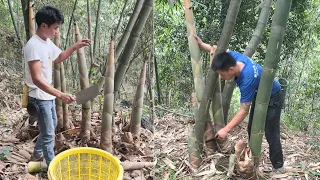 Amazing Skill Cutting Bamboo Shoot